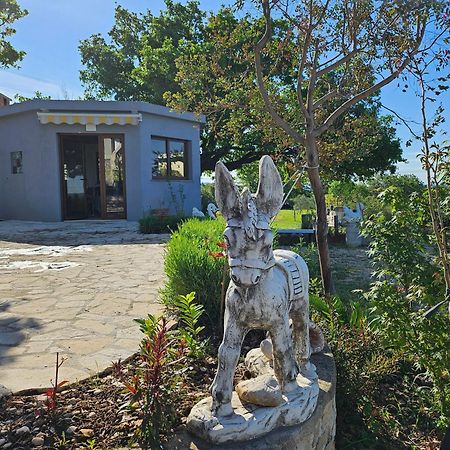 Villa Doci Zadar Ngoại thất bức ảnh
