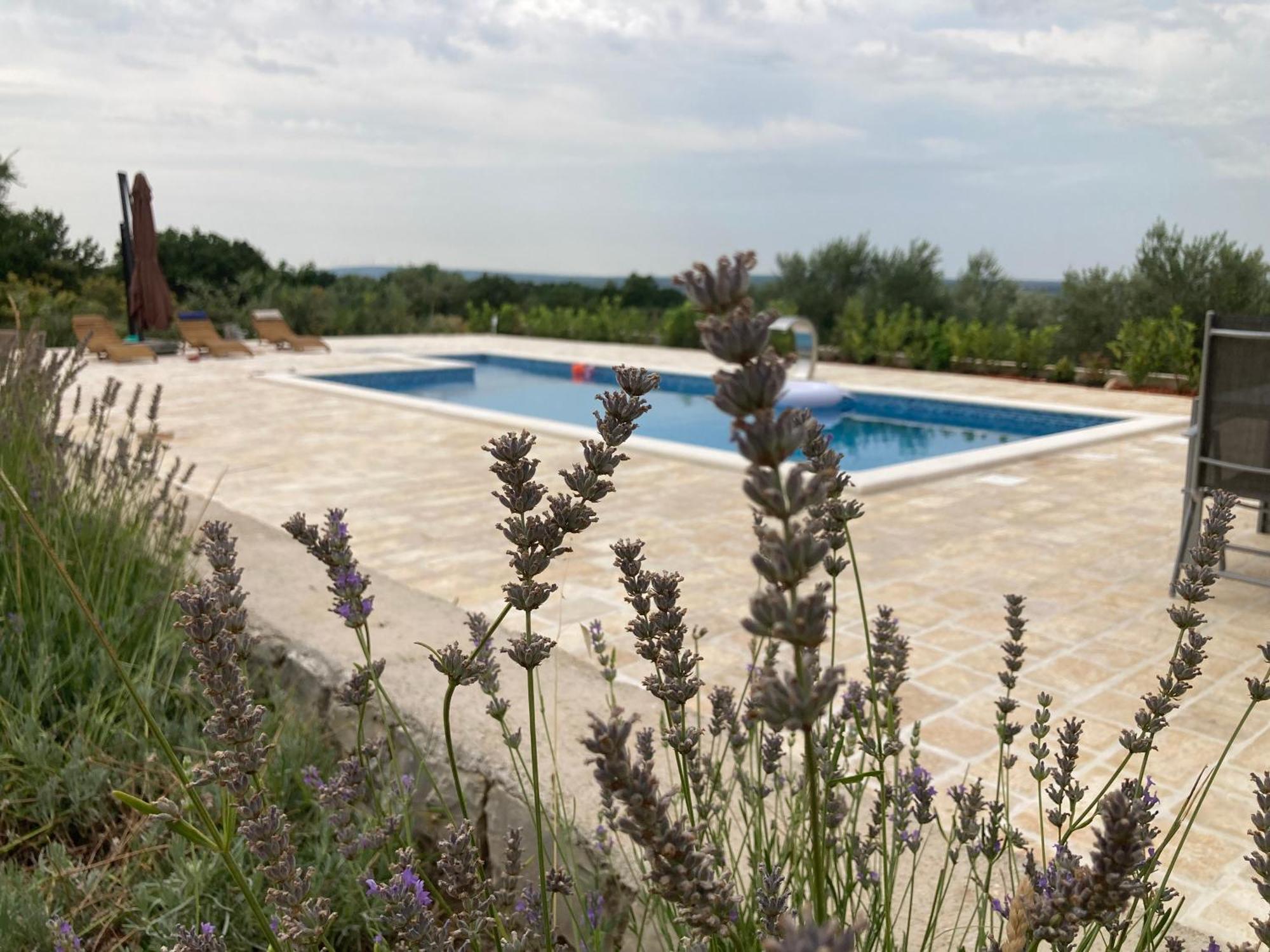 Villa Doci Zadar Ngoại thất bức ảnh